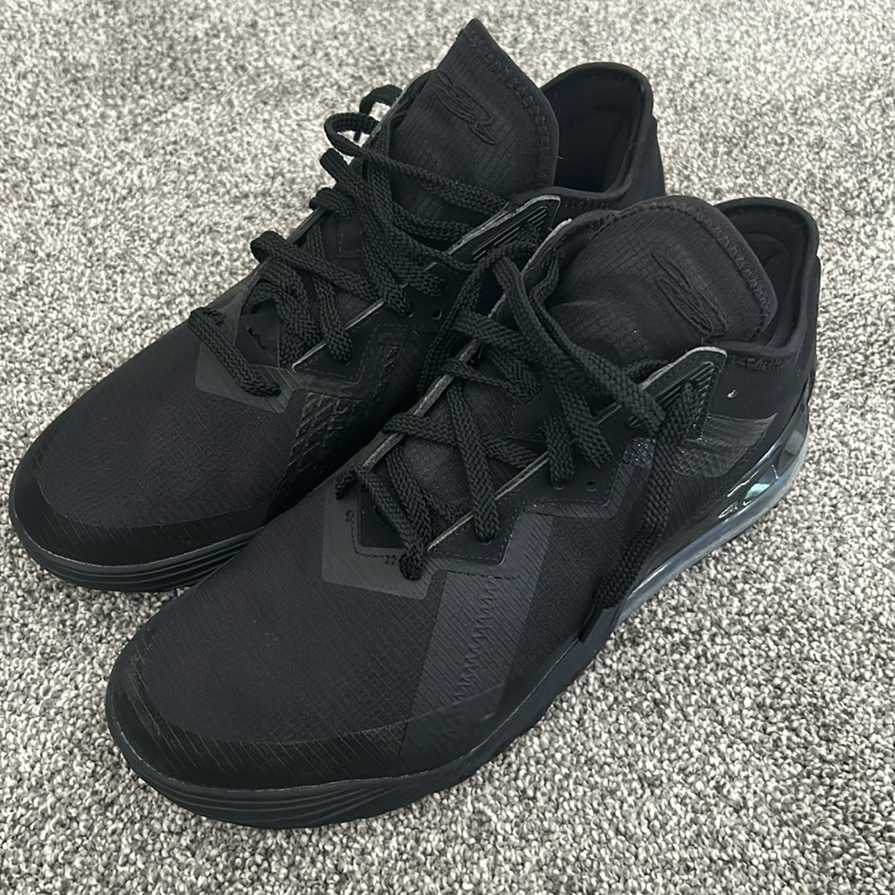 Brand New Nike Lebrons